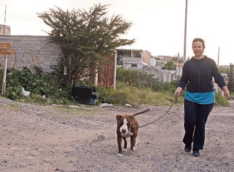 Incrementa 50% abandono de animales en la entidad: ONG