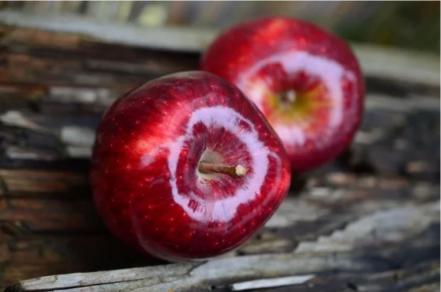 Qué alimentos debes incluir en el desayuno si tienes colitis
