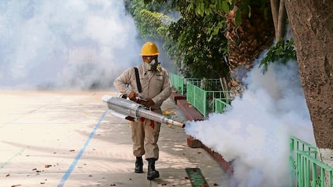 Cambio climático incide en aumento de casos de dengue