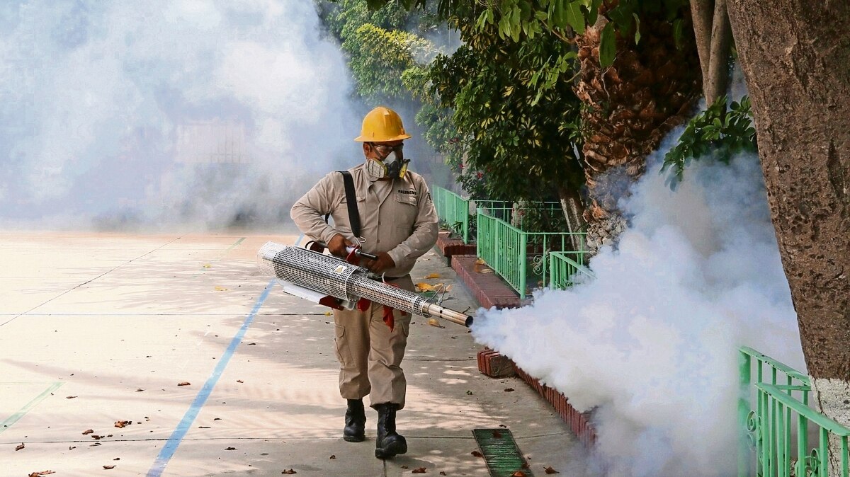 Cambio climático incide en aumento de casos de dengue