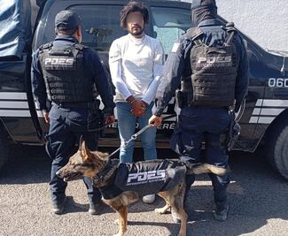 Grupo Lobos K9 POES detuvo a sujeto con narcóticos en Santa Rosa Jáuregui