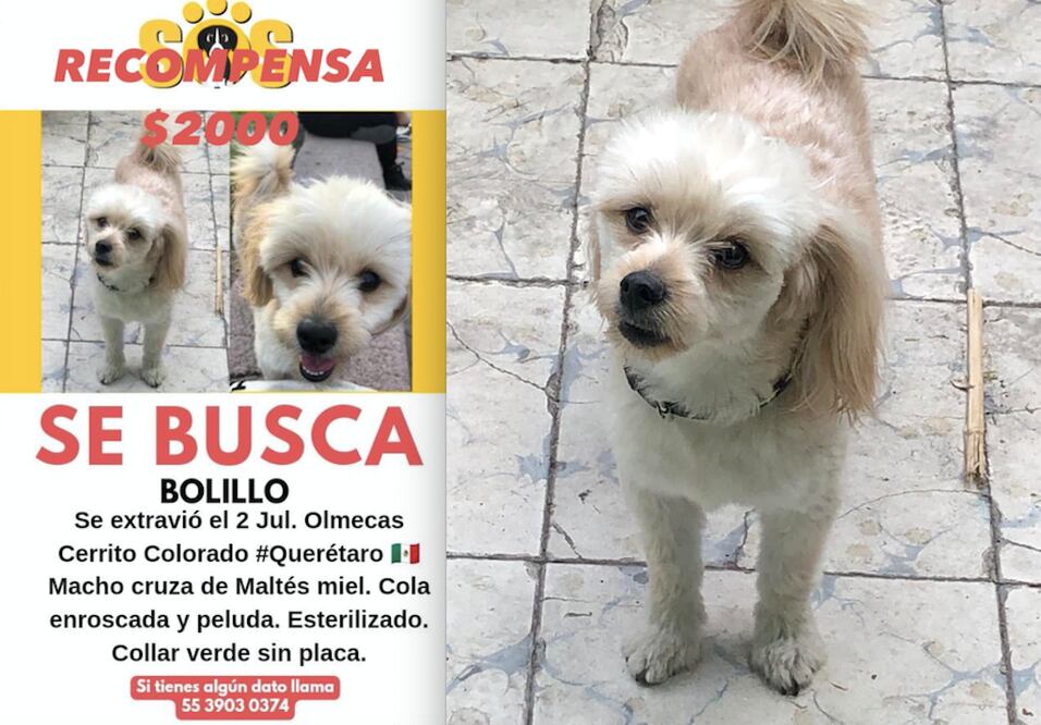 Foto: Facebook Gabiineitor Green