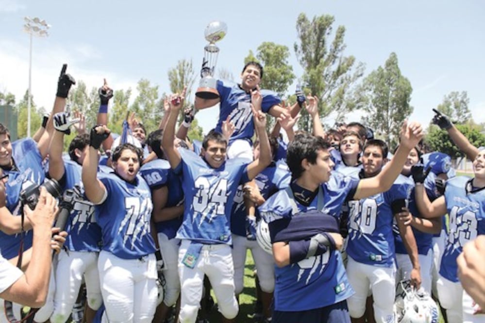 Gatos son los monarcas perfectos