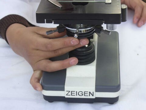 Cecyteq arranca operaciones en agosto  