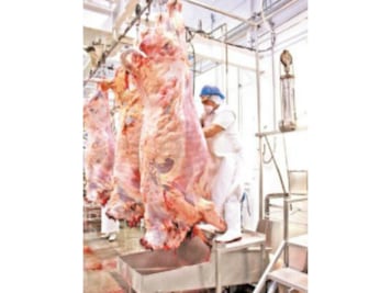 Casos mensuales de clembuterol