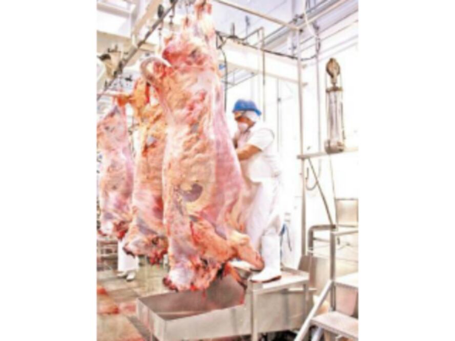 Casos mensuales de clembuterol 