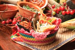 Festival del Nopal, el Pulque y la Gordita de Colón deja derrama económica de 16 mdp