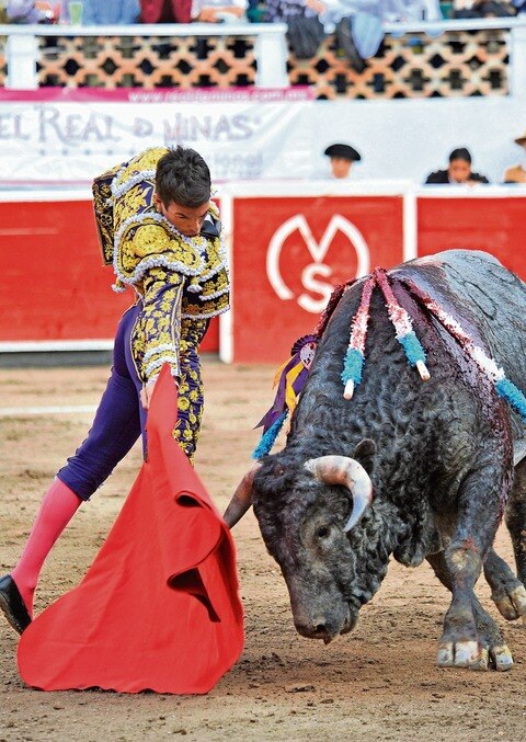 Avalan corridas como patrimonio
