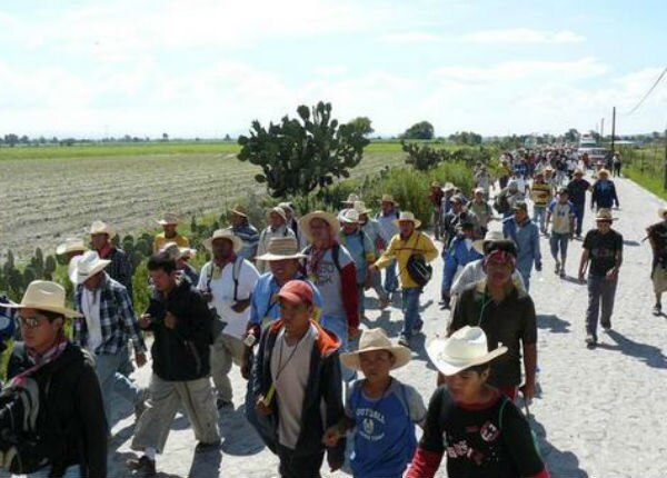 Seseq y federación apoyan peregrinación