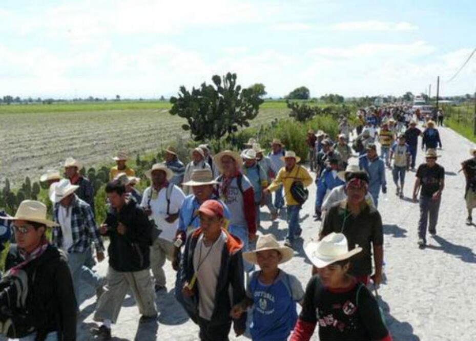 Seseq y federación apoyan peregrinación