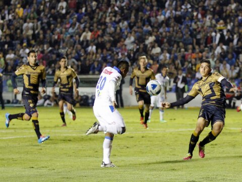 Renace esperanza de la afición queretana