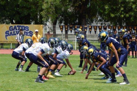 Gatos Salvajes pierde con Bucaneros