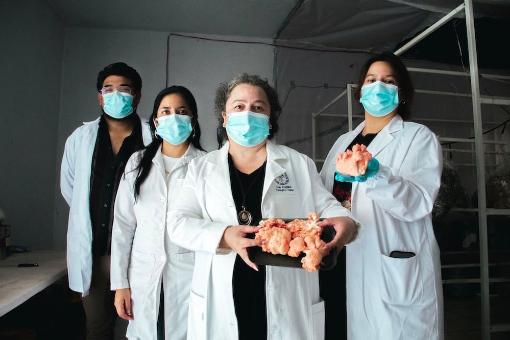 Foto: Facebook Facultad de Ingeniería