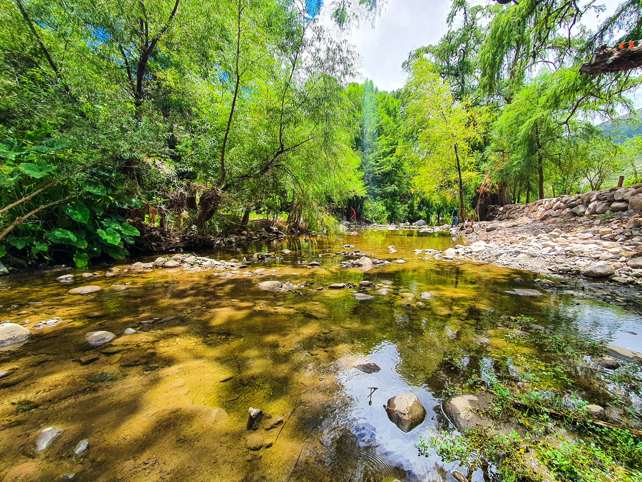Bosque de Los Sabinos. Foto: FB, Joss Quintanar