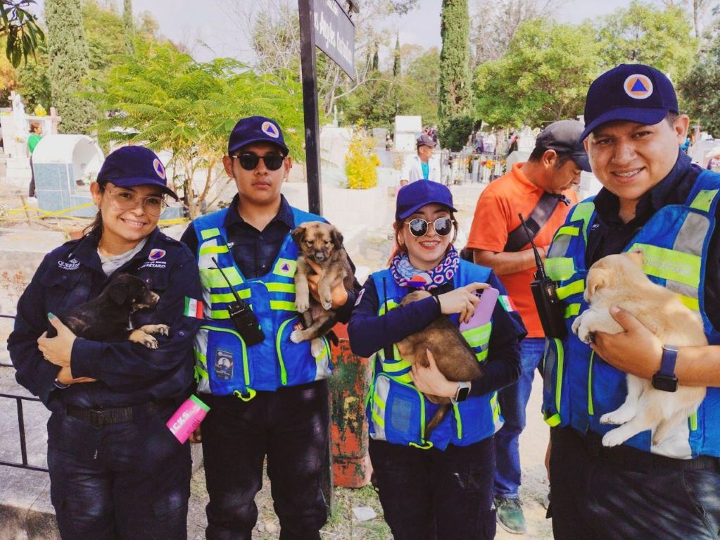 Operativo de “Todos Santos 2024”. Foto: Especial