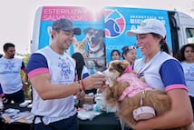Anuncia Felifer Macías tags de geolocalización en la primera Carrera de Bienestar Animal 2026