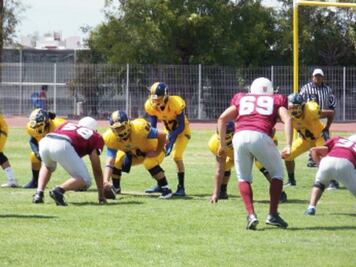 Gatos y Borregos Tec, eliminados