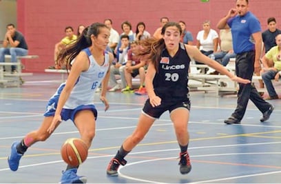 Borregos dan dividendos  