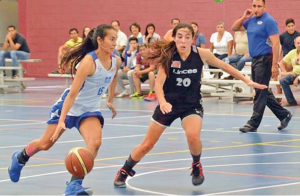 Borregos dan dividendos