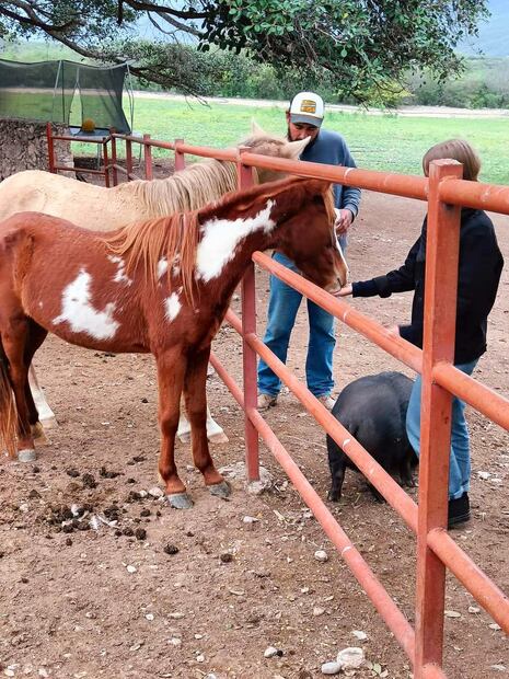 Granja El Higueron en Jalpan de Serra, Qro. Foto: FB@Granja El Higueron