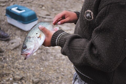 Ven escasez de agua en Jalpan