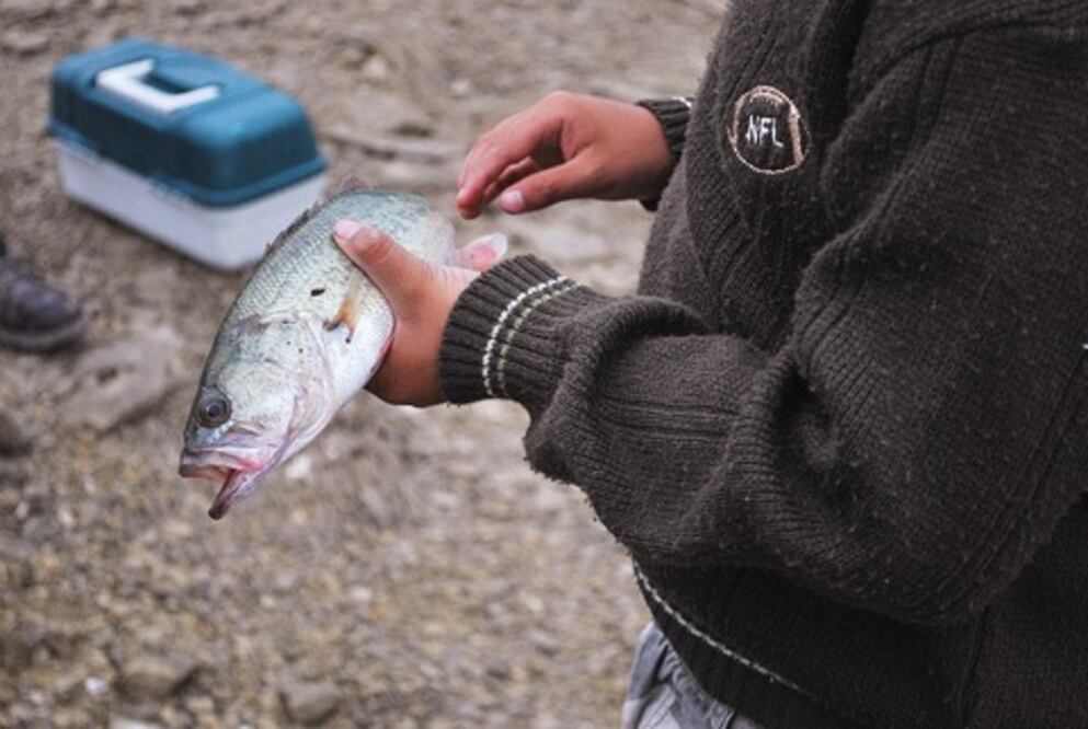 Ven escasez de agua en Jalpan