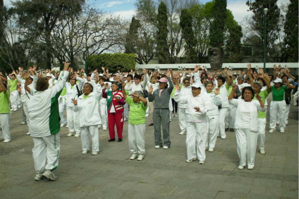 Promueve IMSS actividades culturales