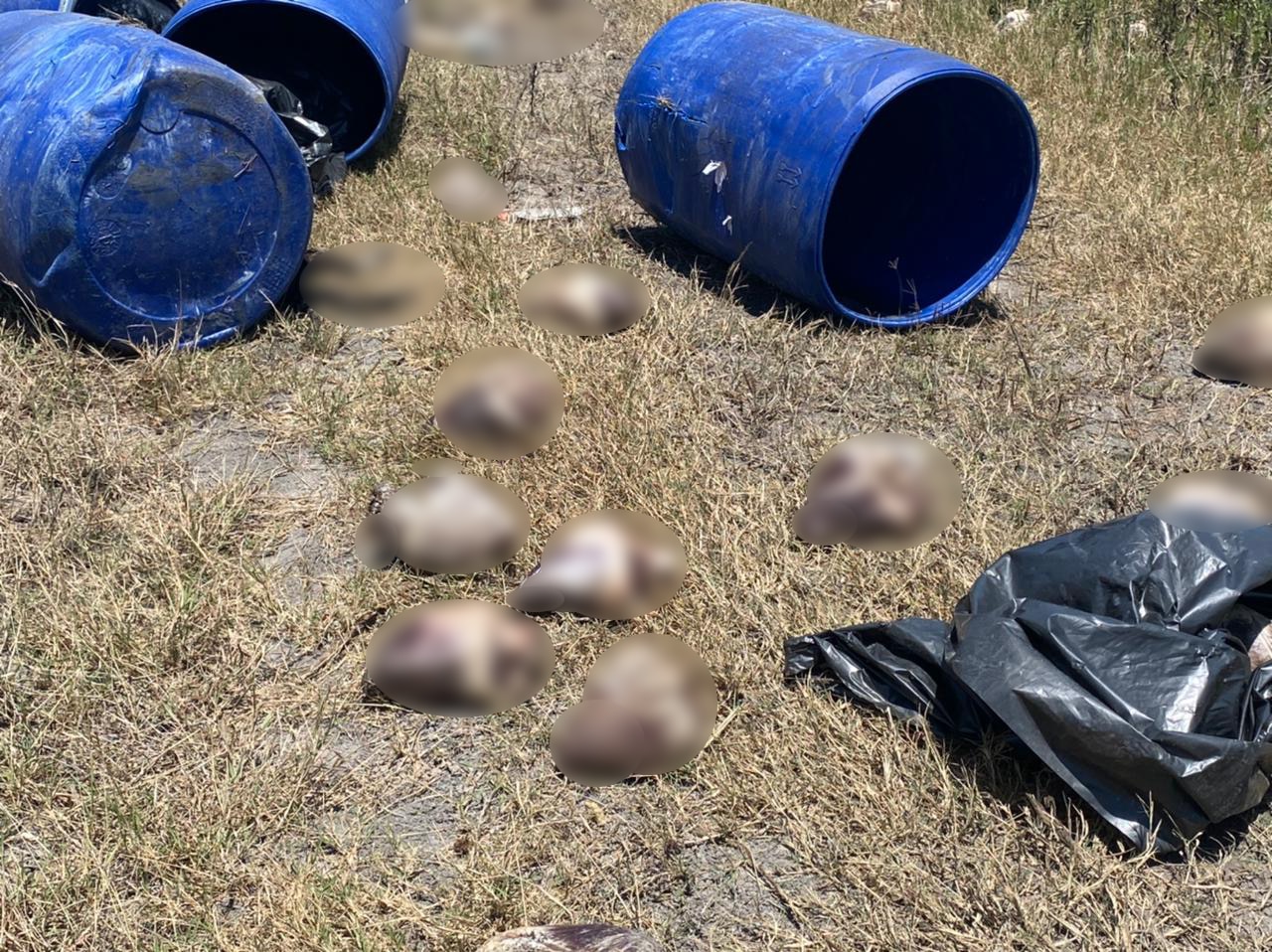 Empresa Aquanimals, sin licencia de funcionamiento