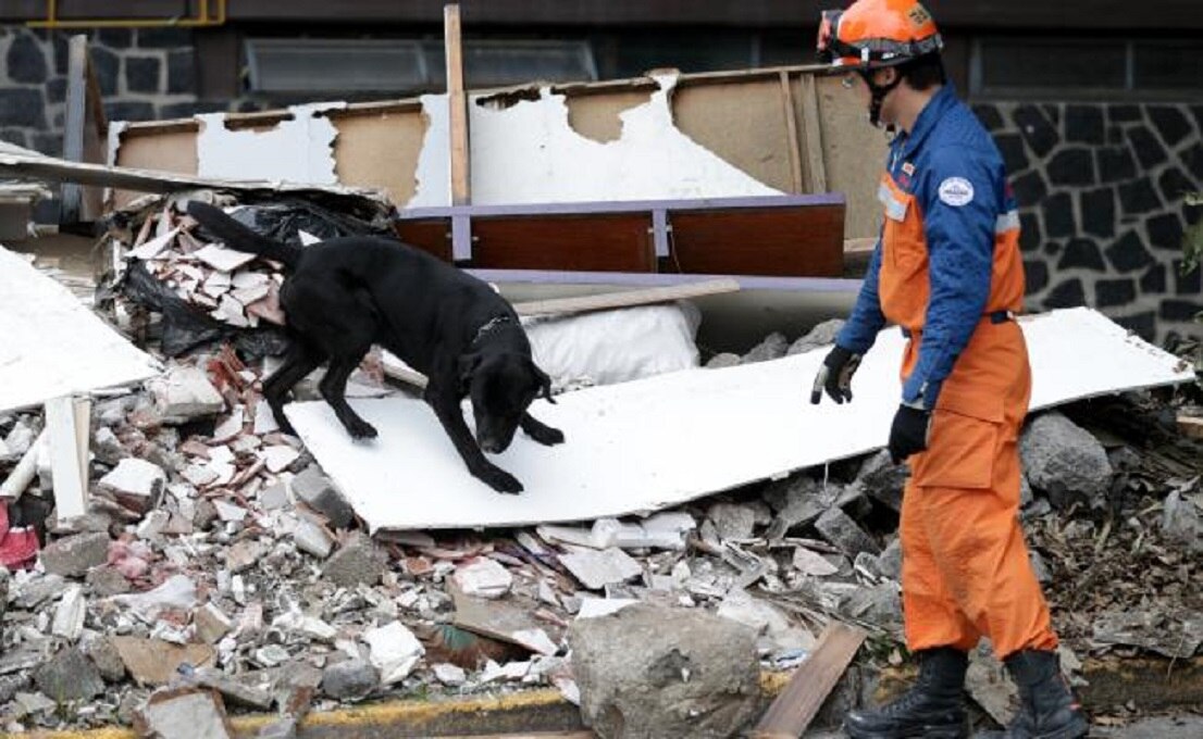 ¿Cuánto costará reconstruir los 7 estados afectados por el sismo?