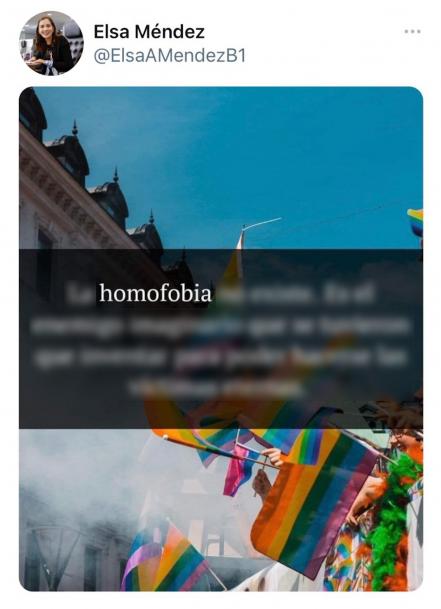 Por mensaje "homofóbico", Twitter suspende perfil de Elsa Méndez