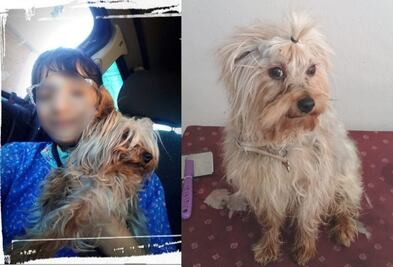 Ayúdalo a regresar a casa. Desde hace un mes, Alexa busca a Brandon