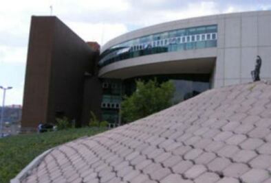 Formal prisión a implicados en trata