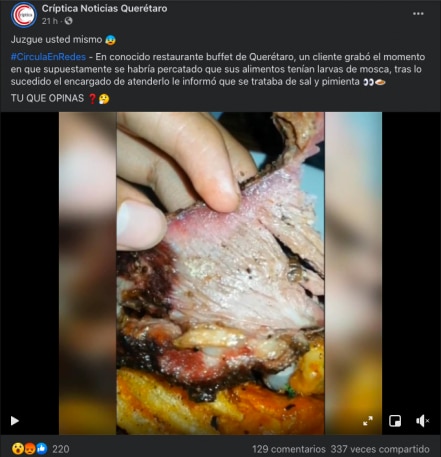 "Tiene larvas de mosca", afirma comensal; restaurante dice que era sal y pimienta