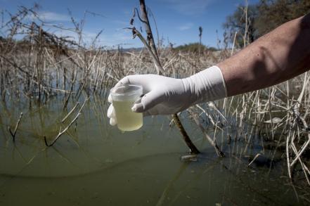 En el olvido la presa El Centenario, manto acuífero de bacterias 