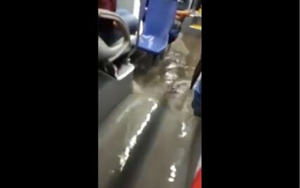 Video. Se “inunda” el transporte público en Querétaro