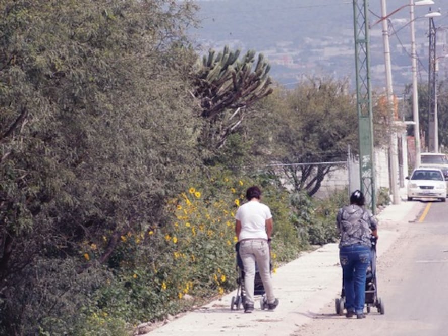 Solicitan apoyo para cortar vegetación 