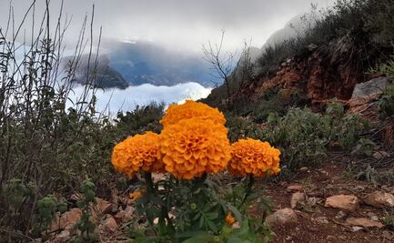 Los mejores destinos de Querétaro para visitar durante el otoño