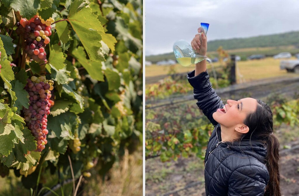 Foto: Facebook Haciendas y Viñedos del Marqués