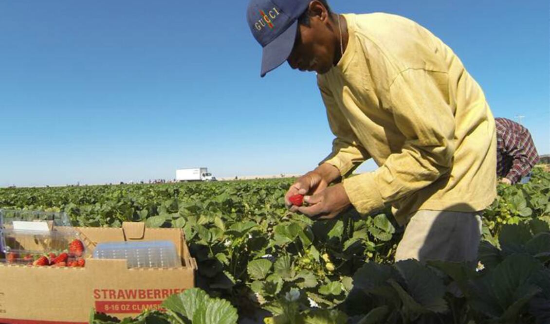 FOTO: Archivo El Universal