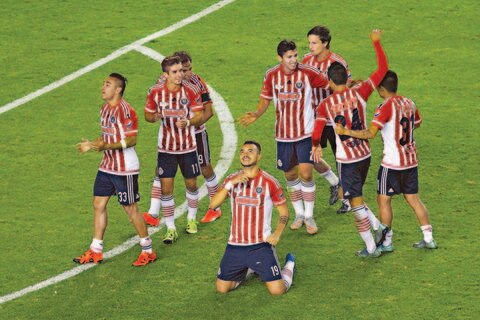 El Rebaño, con todo a embalarse