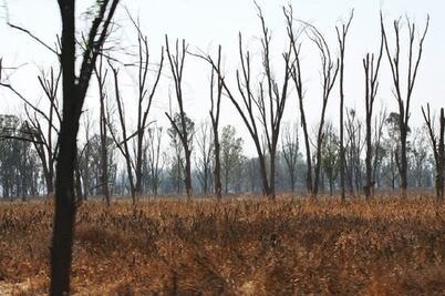 Alertan por riesgo de sequía en sierra