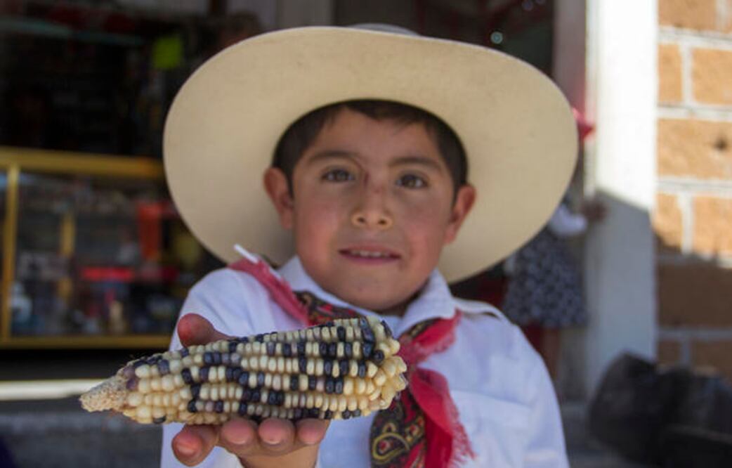 Octavio Cabrera, miembro del Comité Organizador, afirmó que el 54% del maíz que se consume en el país es importado, lo cual es un dato alarmante debido a que este producto nace en estas tierras. Foto: Especial