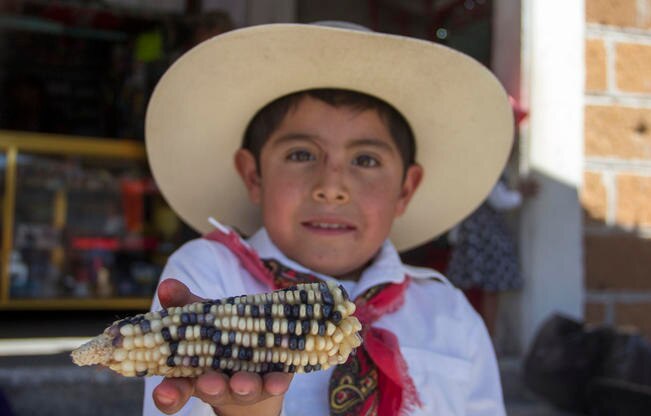 Inauguran UAQ y Amealco la Quinta Feria del Maíz
