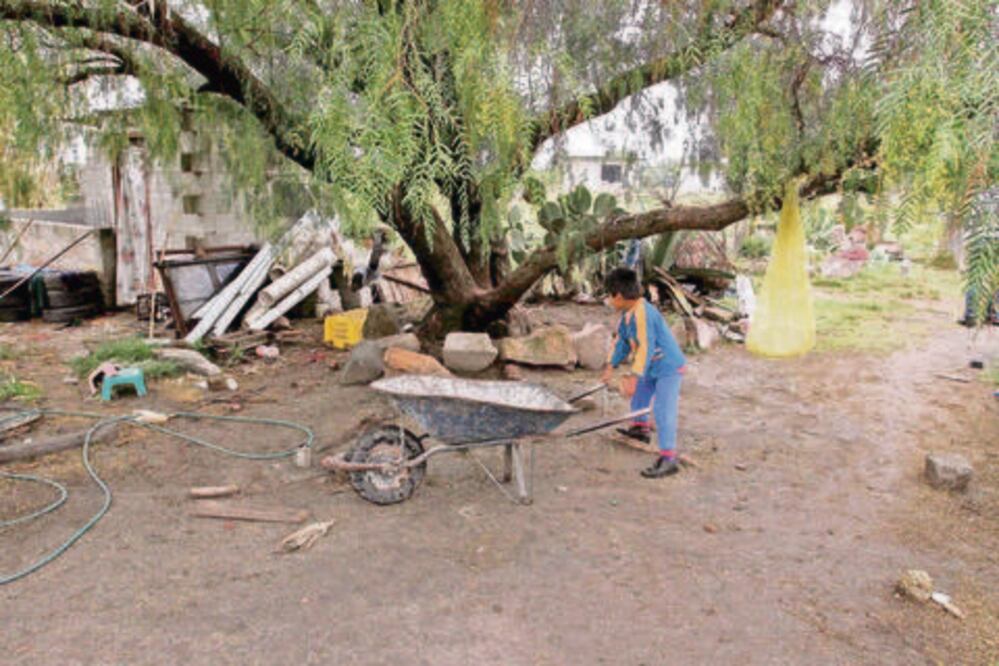 Viven en la pobreza 3.9% de los queretanos: Sedesu