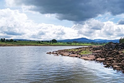 Lluvias favorecen producción de maíz en Huimilpan,  dicen