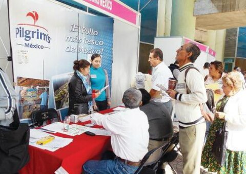 Darán empleo a adultos mayores