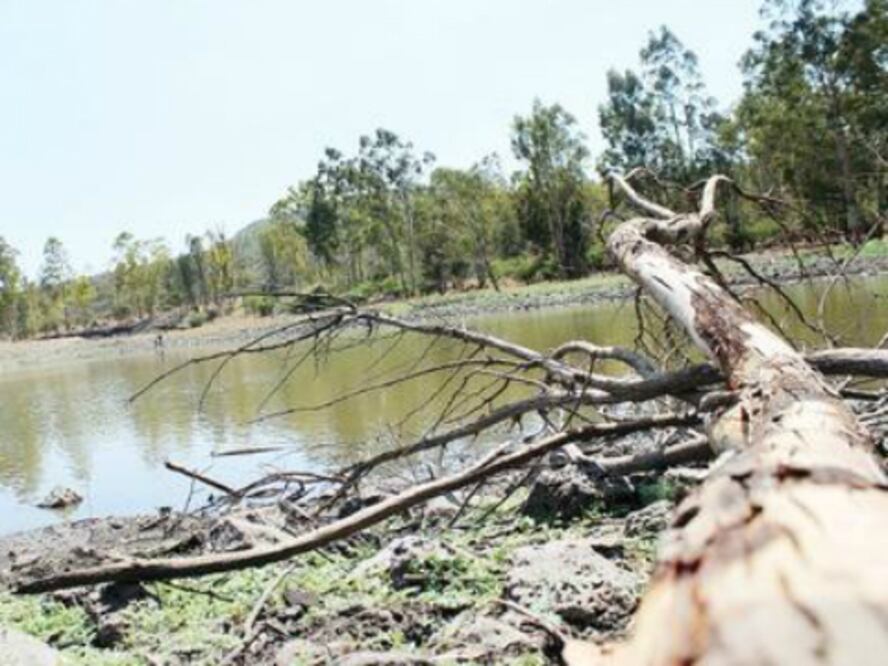 Medalla al mérito ecológico 