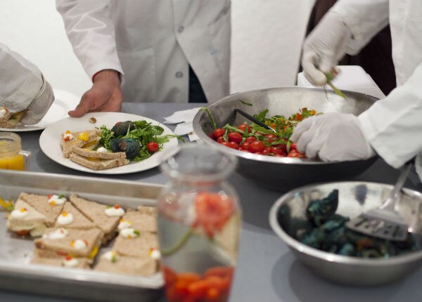 Buscan destacar Alimentos transgénicos