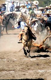 Tres Regalos se corona en el ruedo
