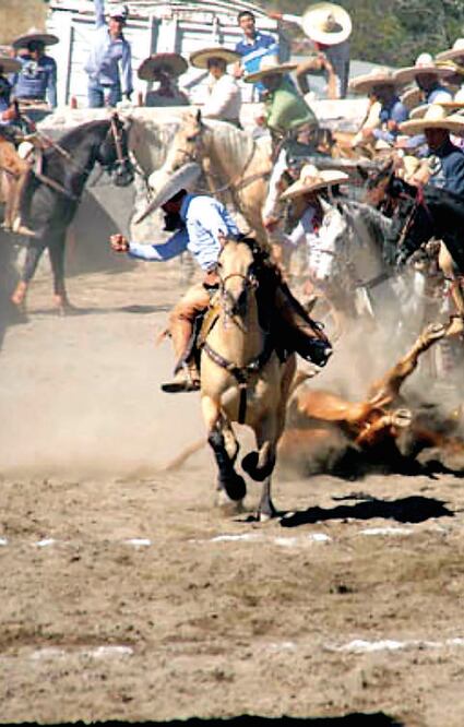 Tres Regalos se corona en el ruedo